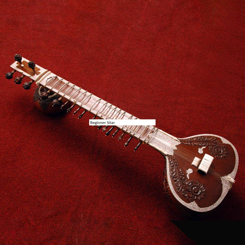 Beginner Sitar